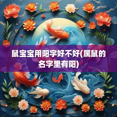 鼠宝宝用阳字好不好(属鼠的名字里有阳)