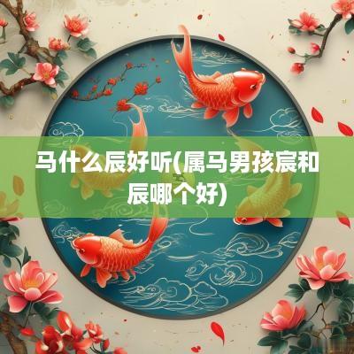 马什么辰好听(属马男孩宸和辰哪个好)