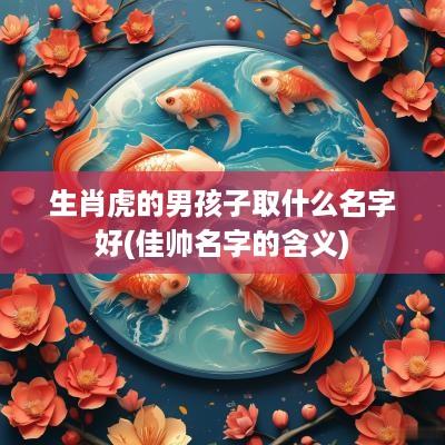 生肖虎的男孩子取什么名字好(佳帅名字的含义)