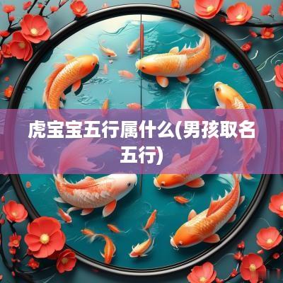 虎宝宝五行属什么(男孩取名五行)