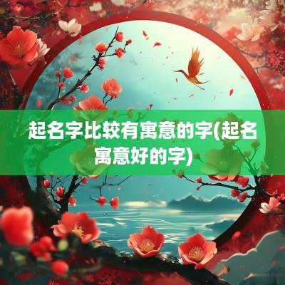 起名字比较有寓意的字(起名寓意好的字)