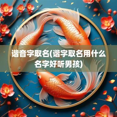 谐音字取名(谐字取名用什么名字好听男孩)