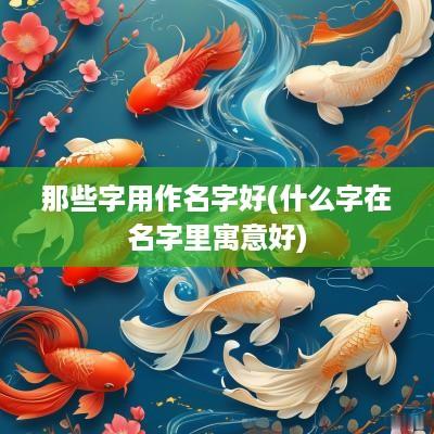 那些字用作名字好(什么字在名字里寓意好)