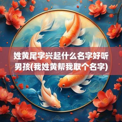 姓黄尾字兴起什么名字好听男孩(我姓黄帮我取个名字)