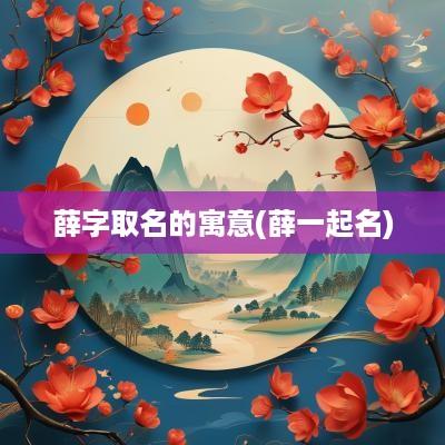 薛字取名的寓意(薛一起名)