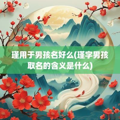 瑾用于男孩名好么(瑾字男孩取名的含义是什么)