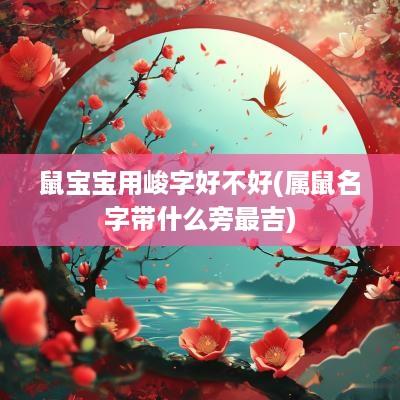 鼠宝宝用峻字好不好(属鼠名字带什么旁最吉)