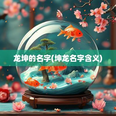 龙坤的名字(坤龙名字含义)