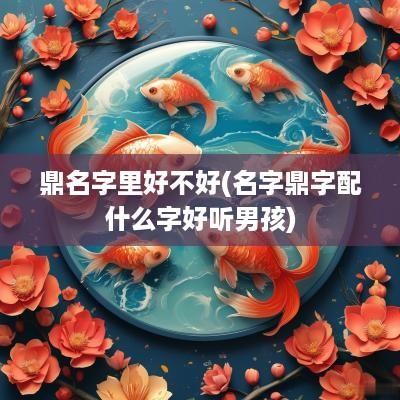 鼎名字里好不好(名字鼎字配什么字好听男孩)