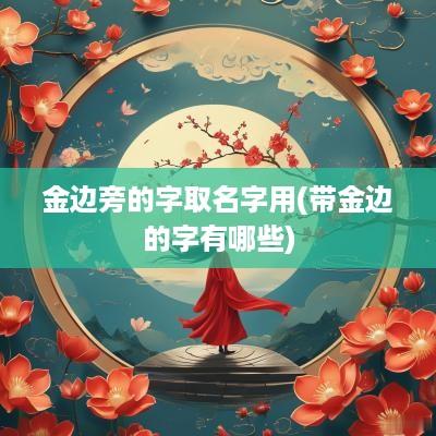 金边旁的字取名字用(带金边的字有哪些)