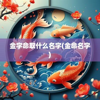 金字命取什么名字(金命名字)