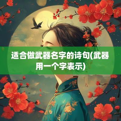 适合做武器名字的诗句(武器用一个字表示)