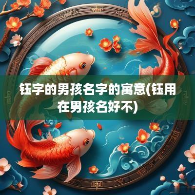 钰字的男孩名字的寓意(钰用在男孩名好不)