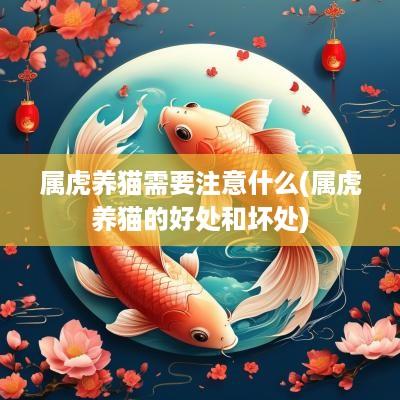 属虎养猫需要注意什么(属虎养猫的好处和坏处)