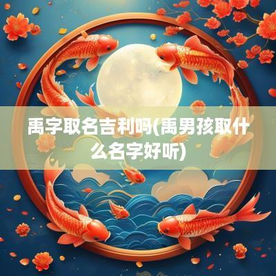 禹字取名吉利吗(禹男孩取什么名字好听)