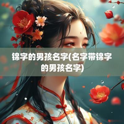 锦字的男孩名字(名字带锦字的男孩名字)