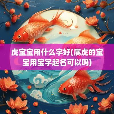 虎宝宝用什么字好(属虎的宝宝用宝字起名可以吗)