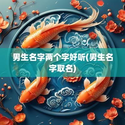 男生名字两个字好听(男生名字取名)
