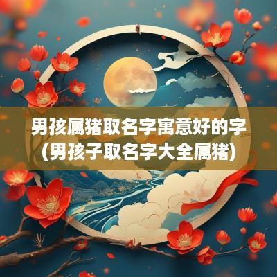 男孩属猪取名字寓意好的字(男孩子取名字大全属猪)