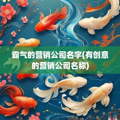 霸气的营销公司名字(有创意的营销公司名称)