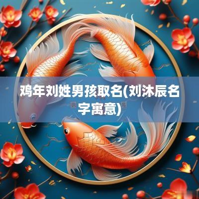 鸡年刘姓男孩取名(刘沐辰名字寓意)