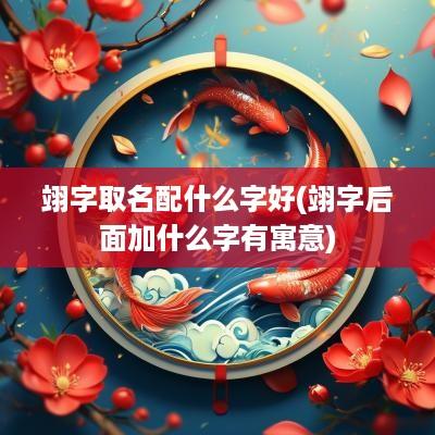 翊字取名配什么字好(翊字后面加什么字有寓意)