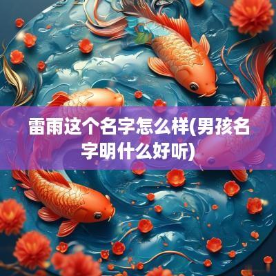 雷雨这个名字怎么样(男孩名字明什么好听)