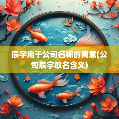 辰字用于公司名称的寓意(公司辰字取名含义)