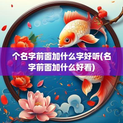 个名字前面加什么字好听(名字前面加什么好看)