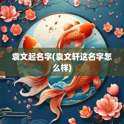 袁文起名字(袁文轩这名字怎么样)