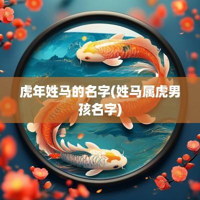 蛇年姓马的名字(姓马属虎男孩名字)