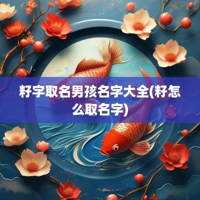 籽字取名男孩名字大全(籽怎么取名字)