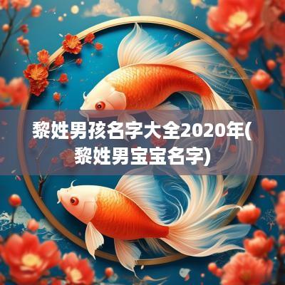 黎姓男孩名字大全2025年(黎姓男宝宝名字)