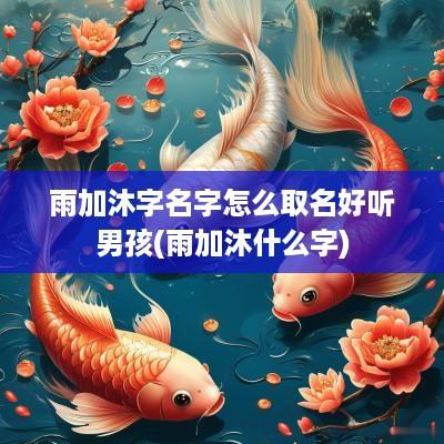 雨加沐字名字怎么取名好听男孩(雨加沐什么字)