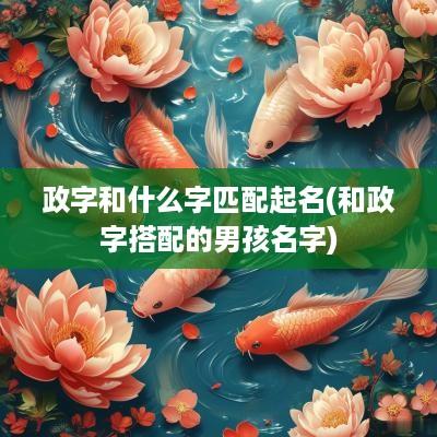 政字和什么字匹配起名(和政字搭配的男孩名字)