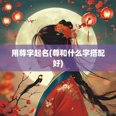 用尊字起名(尊和什么字搭配好)