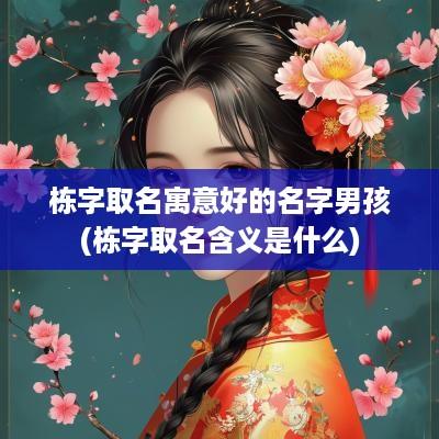 栋字取名寓意好的名字男孩(栋字取名含义是什么)