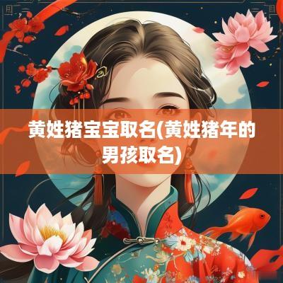 黄姓猪宝宝取名(黄姓猪年的男孩取名)