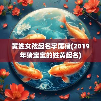 黄姓女孩起名字属猪(2019年猪宝宝的姓黄起名)