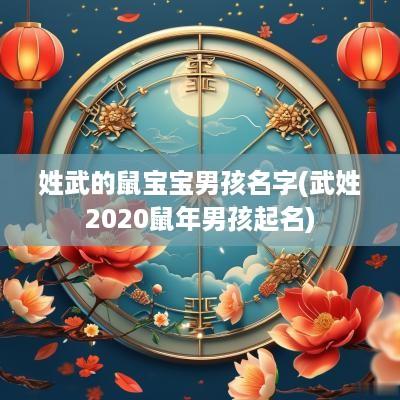 姓武的鼠宝宝男孩名字(武姓2025蛇年男孩起名)