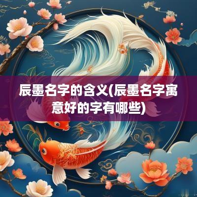 辰墨名字的含义(辰墨名字寓意好的字有哪些)