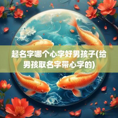 起名字哪个心字好男孩子(给男孩取名字带心字的)