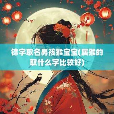 锦字取名男孩猴宝宝(属猴的取什么字比较好)