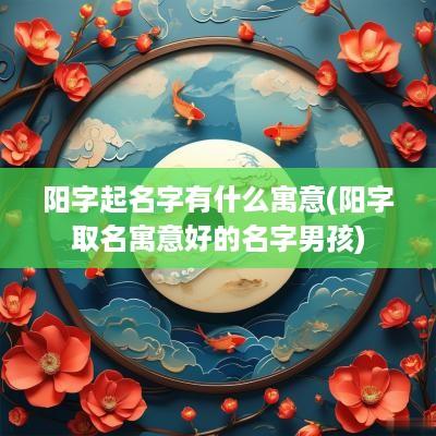 阳字起名字有什么寓意(阳字取名寓意好的名字男孩)