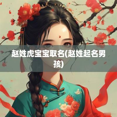 赵姓虎宝宝取名(赵姓起名男孩)