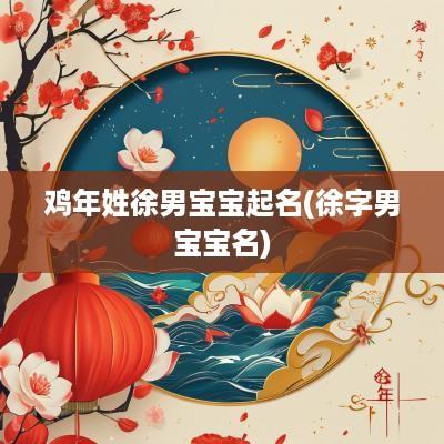 鸡年姓徐男宝宝起名(徐字男宝宝名)