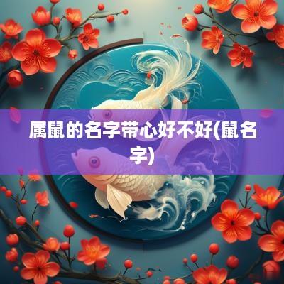 属鼠的名字带心好不好(鼠名字)
