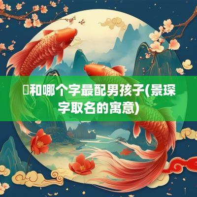 璟和哪个字最配男孩子(景琛字取名的寓意)