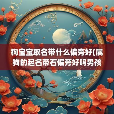 狗宝宝取名带什么偏旁好(属狗的起名带石偏旁好吗男孩)