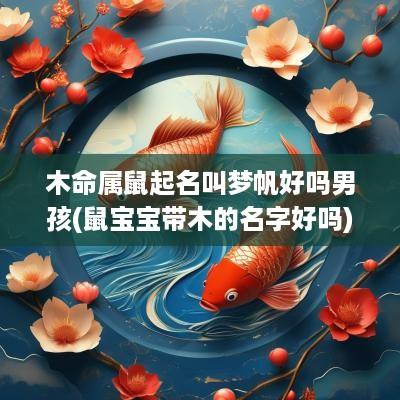 木命属鼠起名叫梦帆好吗男孩(鼠宝宝带木的名字好吗)